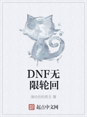 DNF无限轮回